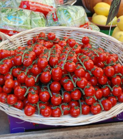 Miért érdemes a San Marczanóval foglalkozni