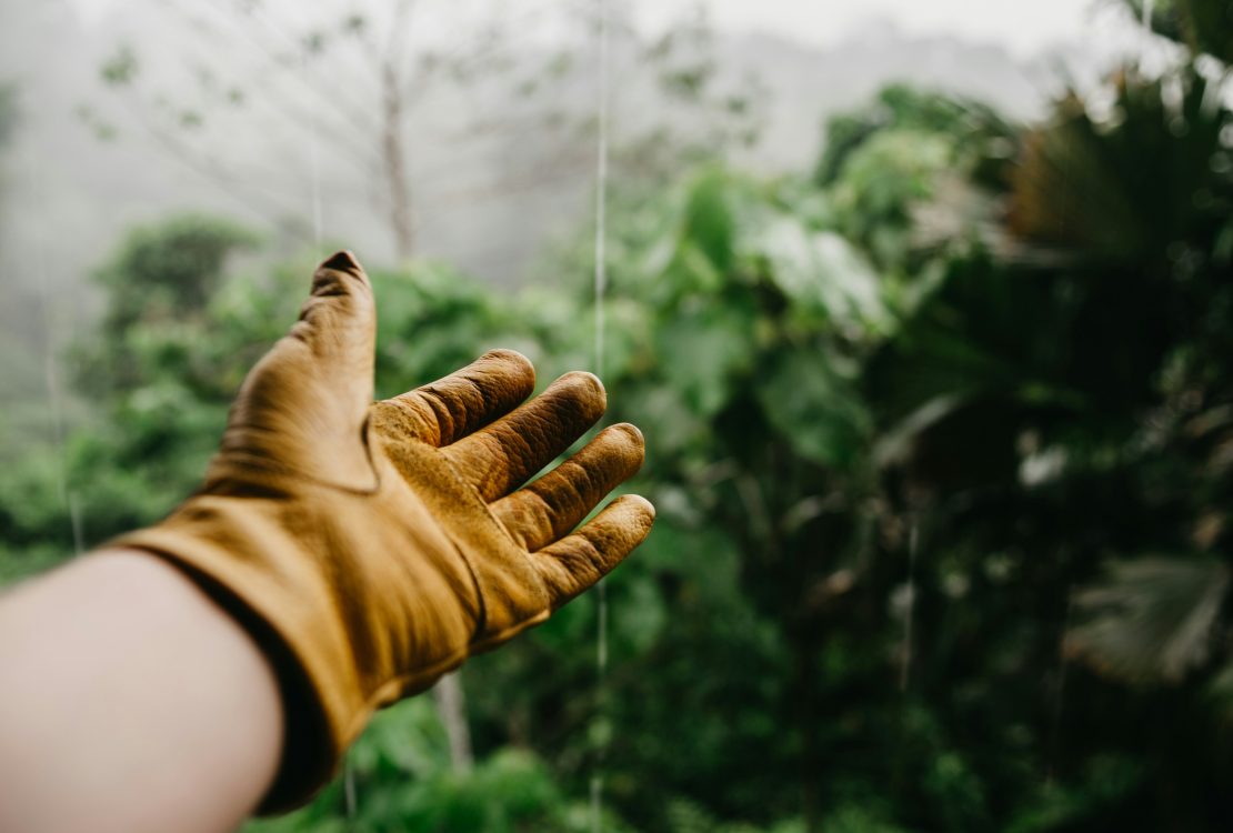 Miért érdemes zöldségeket vetni?