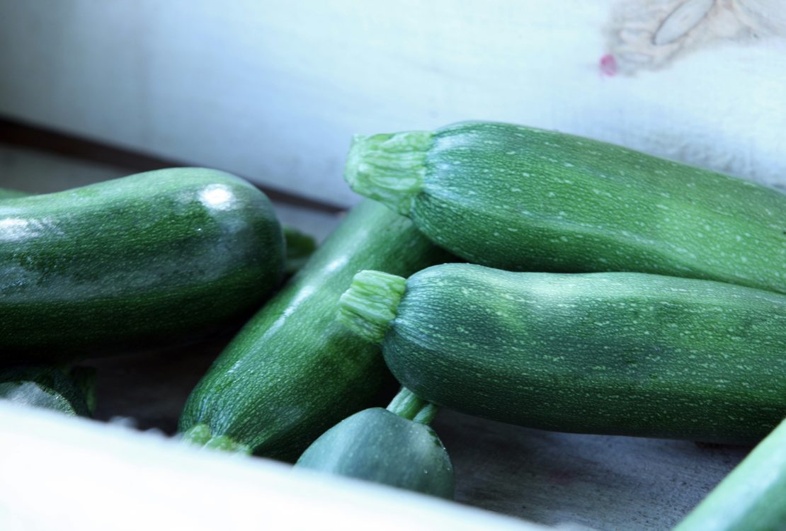 A cukkini palántázása