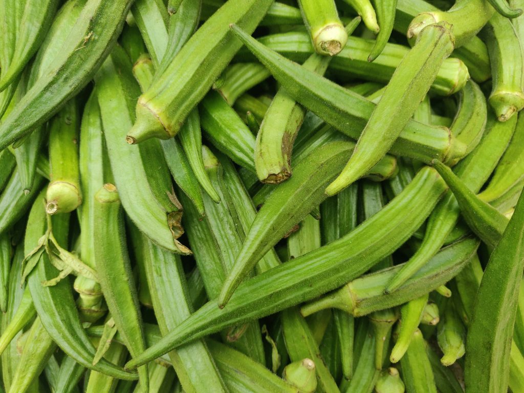 Az okra termesztése